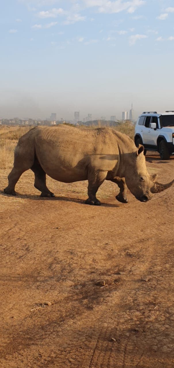 Lake Nakuru National Park landscape
