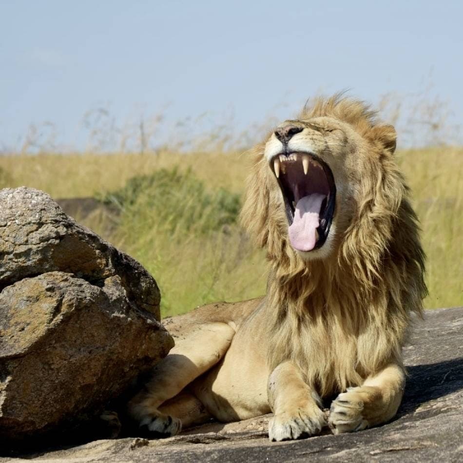 Maasai Mara National Park